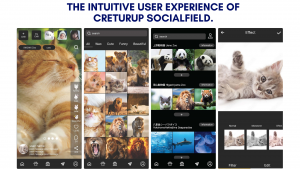 The intuitive user experience of CRETURUP SOCIALFIELD.